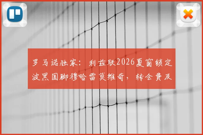 罗马诺独家:利兹联2026夏窗锁定波黑国脚穆哈雷莫维奇,转会费及球员技术特点全解析