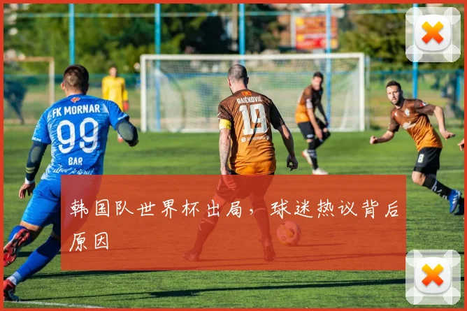 韩国队世界杯出局，球迷热议背后原因