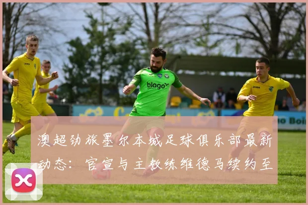澳超劲旅墨尔本城足球俱乐部最新动态:官宣与主教练维德马续约至2026年,深度解析其年薪、合同年限及未来赛季战略
